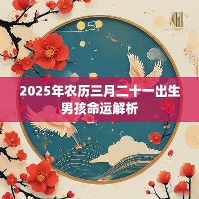 2025年农历三月二十一出生男孩命运解析