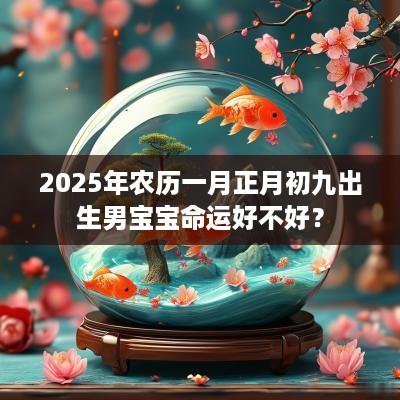 2025年农历一月正月初九出生男宝宝命运好不好？