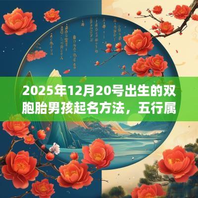 2025年12月20号出生的双胞胎男孩起名方法，五行属什么