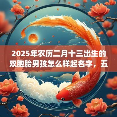 2025年农历二月十三出生的双胞胎男孩怎么样起名字，五行属什么