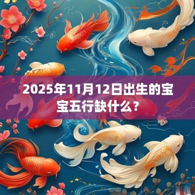 2025年11月12日出生的宝宝五行缺什么？