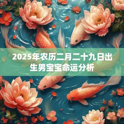 2025年农历二月二十九日出生男宝宝命运分析
