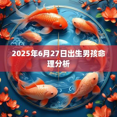 2025年6月27日出生男孩命理分析