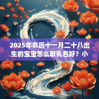 2025年农历十一月二十八出生的宝宝怎么取乳名好？小名推荐
