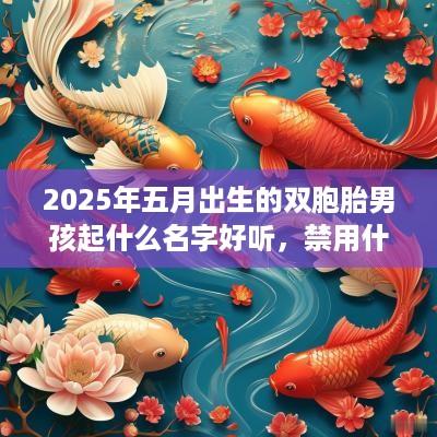 2025年五月出生的双胞胎男孩起什么名字好听，禁用什么字