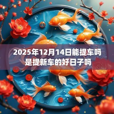 2025年12月14日能提车吗 是提新车的好日子吗