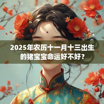 2025年农历十一月十三出生的猪宝宝命运好不好？