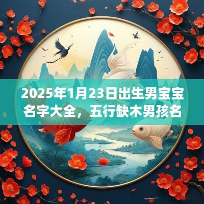 2025年1月23日出生男宝宝名字大全，五行缺木男孩名字