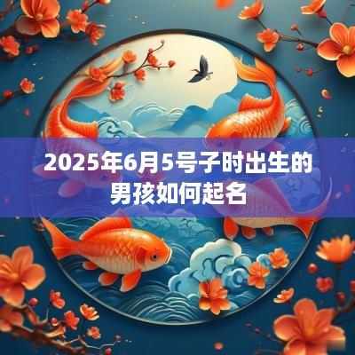 2025年6月5号子时出生的男孩如何起名