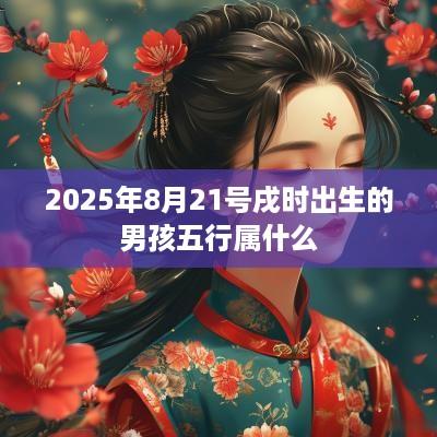 2025年8月21号戌时出生的男孩五行属什么