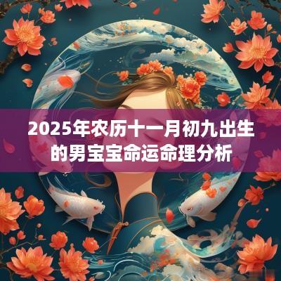 2025年农历十一月初九出生的男宝宝命运命理分析
