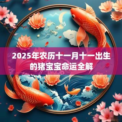 2025年农历十一月十一出生的猪宝宝命运全解