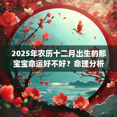 2025年农历十二月出生的那宝宝命运好不好？命理分析