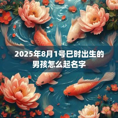 2025年8月1号巳时出生的男孩怎么起名字