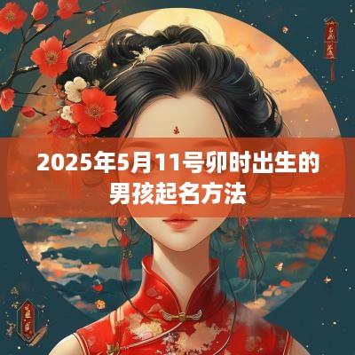 2025年5月11号卯时出生的男孩起名方法