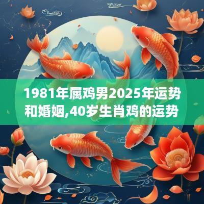 1981年属鸡男2025年运势和婚姻,40岁生肖鸡的运势