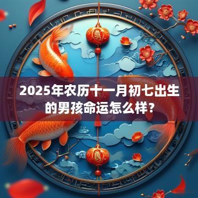 2025年农历十一月初七出生的男孩命运怎么样？