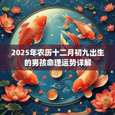 2025年农历十二月初九出生的男孩命理运势详解