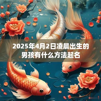 2025年4月2日凌晨出生的男孩有什么方法起名