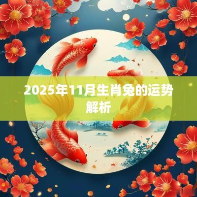 2025年11月生肖兔的运势解析