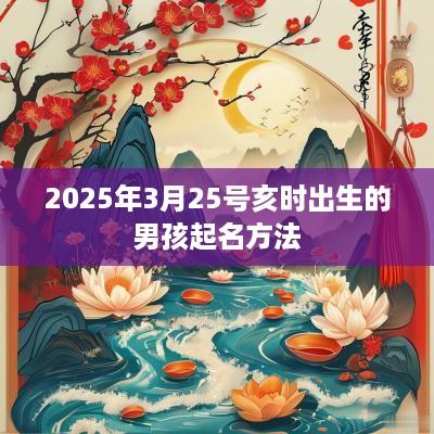 2025年3月25号亥时出生的男孩起名方法
