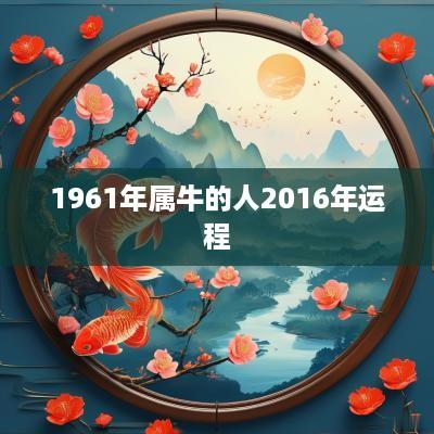1961年属牛的人2016年运程