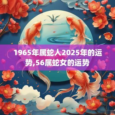 1965年属蛇人2025年的运势,56属蛇女的运势