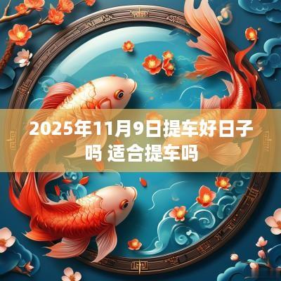 2025年11月9日提车好日子吗 适合提车吗