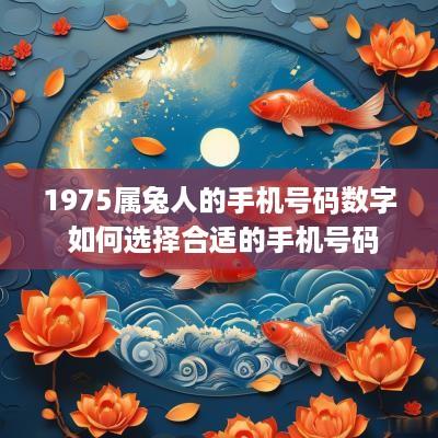 1975属兔人的手机号码数字 如何选择合适的手机号码