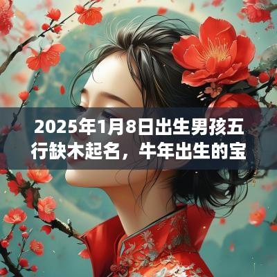2025年1月8日出生男孩五行缺木起名，蛇年出生的宝宝性格怎么样？