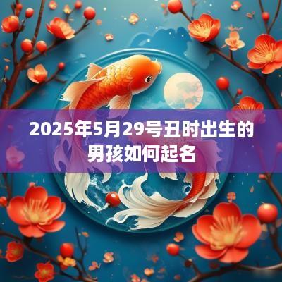2025年5月29号丑时出生的男孩如何起名