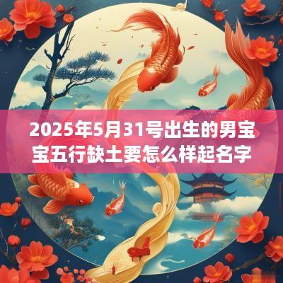 2025年5月31号出生的男宝宝五行缺土要怎么样起名字