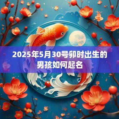 2025年5月30号卯时出生的男孩如何起名