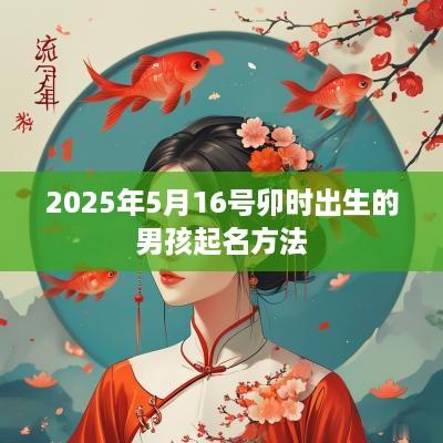 2025年5月16号卯时出生的男孩起名方法