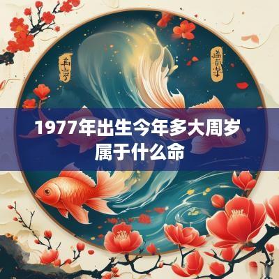 1977年出生今年多大周岁 属于什么命