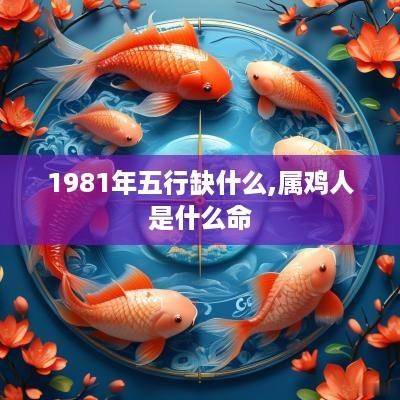 1981年五行缺什么,属鸡人是什么命