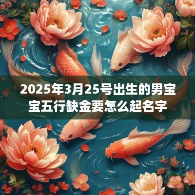2025年3月25号出生的男宝宝五行缺金要怎么起名字