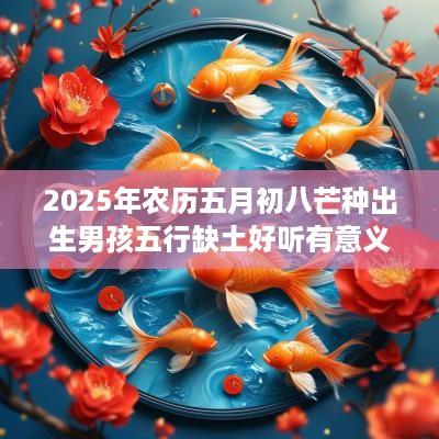 2025年农历五月初八芒种出生男孩五行缺土好听有意义取名