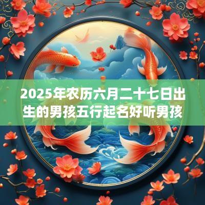 2025年农历六月二十七日出生的男孩五行起名好听男孩名字