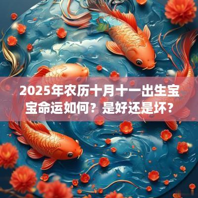 2025年农历十月十一出生宝宝命运如何？是好还是坏？