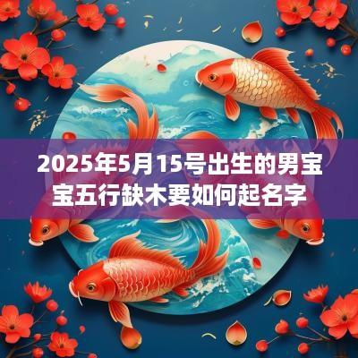 2025年5月15号出生的男宝宝五行缺木要如何起名字