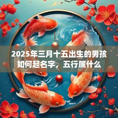 2025年三月十五出生的男孩如何起名字，五行属什么