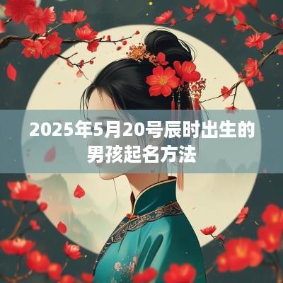 2025年5月20号辰时出生的男孩起名方法
