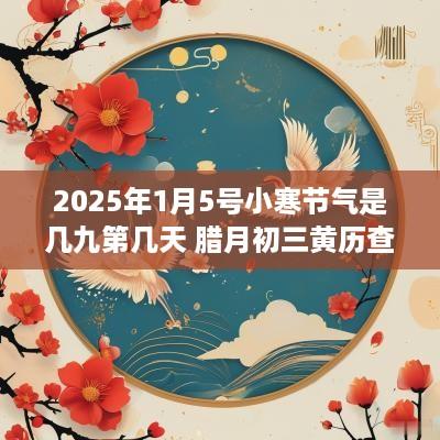 2025年1月5号小寒节气是几九第几天 腊月初三黄历查询