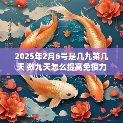 2025年2月6号是几九第几天 数九天怎么提高免疫力