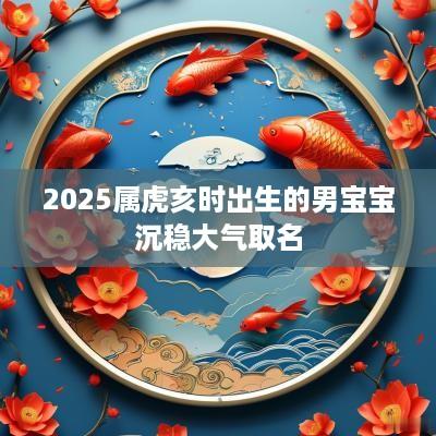 2025属虎亥时出生的男宝宝沉稳大气取名