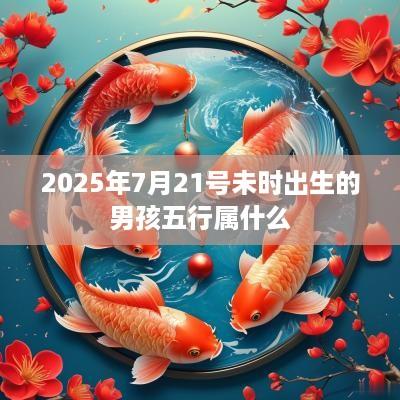 2025年7月21号未时出生的男孩五行属什么
