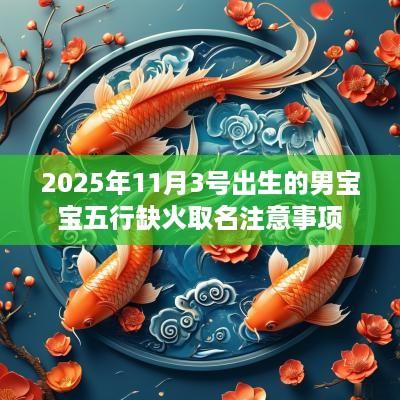 2025年11月3号出生的男宝宝五行缺火取名注意事项