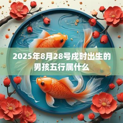 2025年8月28号戌时出生的男孩五行属什么