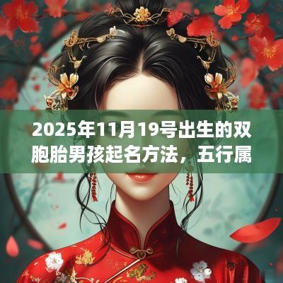 2025年11月19号出生的双胞胎男孩起名方法，五行属什么